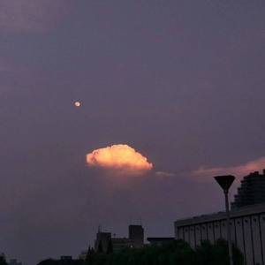 哔哩哔哩高清观看免费网站大全
